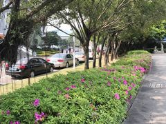 -福建省奥林匹克体育中心-体育馆