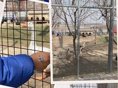 -河北村民俗体验园