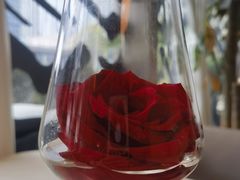 餐具摆设-龟兹KUCINA·新疆菜(前滩L+PLAZA店)