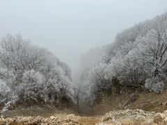 -王莽岭风景区