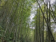 -千泷沟大瀑布旅游区