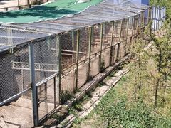 -青藏高原野生动物园