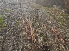 -七仙岭温泉国家森林公园