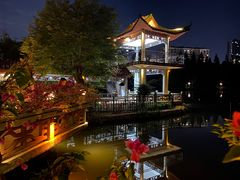 -深圳龙潭公园