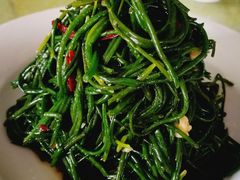 炝拌沙葱-国强手抓(北京西路店)