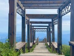 -白草畔自然风景区