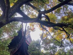 -西园戒幢律寺