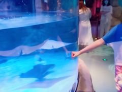 -沈阳海洋探索中心