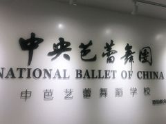 -中央芭蕾舞团·中芭艺蕾(酒仙桥明星校区)