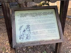 -冶父山国家森林公园