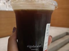 -代数学家algebraist(苏州中心店)