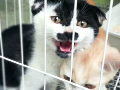 -煲煲掂风味煲仔饭餐厅(西区店)