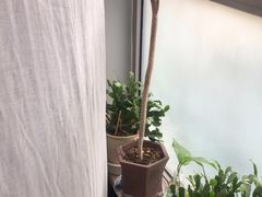 -逸栈养生SPA(望京店)