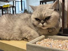 -Oasis绿洲银饰珍珠手作diy(壹方城店)