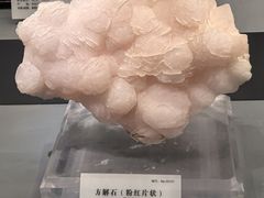 -湖南省地质博物馆