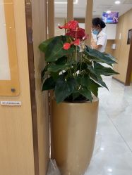 -南京康美美容医院·旗舰店