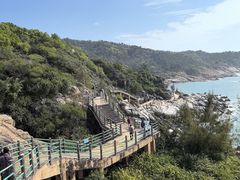 -广东惠东海龟国家级自然保护区