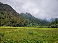-稻城亚丁景区-冲古草甸