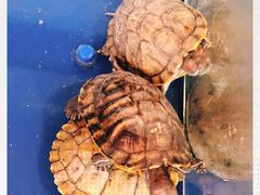 -华润万家(M2香港名都店)