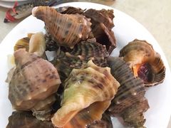 -春华海鲜城(广场西苑店)