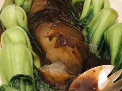 虾子大乌参-梅龙镇酒家(南京西路总店)
