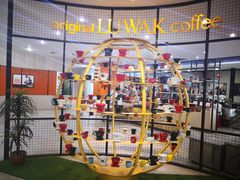 -巴厘岛黄金金兔咖啡工厂