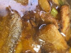 -苏启渔港(云南北路店)