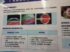 -上海大学附属上海和平眼科医院