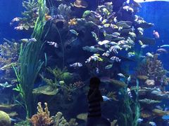 -多彩贵州城极地海洋世界