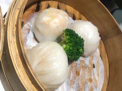 -广雅茶楼(柳州一店)
