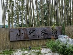 -黄龙溪古镇