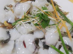 -谢边农庄(海八路店)
