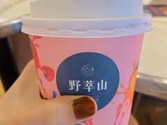 牛油果特伦苏-野萃山·潮汕厚果汁(十亩地店)