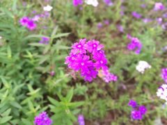 -湖南工业大学(主校区（河西校区）)