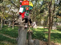 -西安市长乐公园