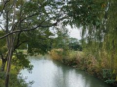 -上海佘山世茂艾美酒店