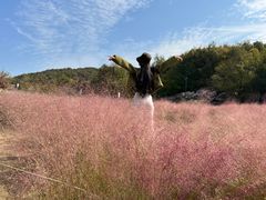 -南京市无想山景区
