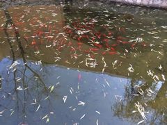 稻香湖景温泉会馆-湖景温泉