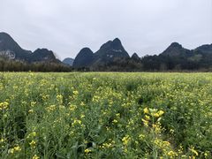 -靖西鹅泉风景区