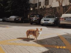 -小梁哥云吞面(黄贝岭店)