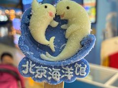 -北京海洋馆