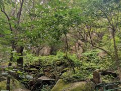 -北京鹫峰国家森林公园