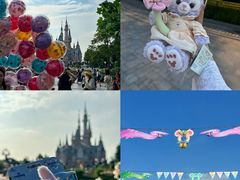 -上海迪士尼度假区