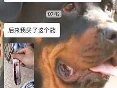 -顺强宠物诊所·狂犬免疫·夜诊·骨科(嘉定店)