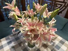 -三色堇(小通巷店)