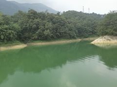 -广州市流溪河国家森林公园