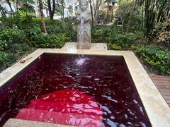 -苏州湾·王焰温泉