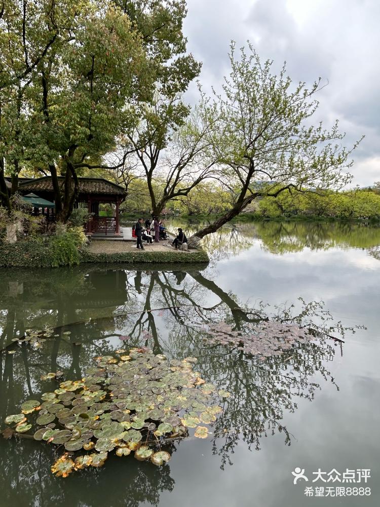 柳树桃花杭州的春景太漂亮啦