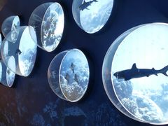 -上海中国航海博物馆