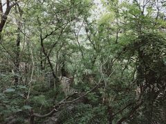 -井塘古村